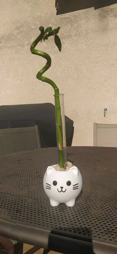 https://makerworld.bblmw.com/makerworld/model/746931/680107/ratings/a56eeaf0-2b16-11f0-b64f-6dab3042a72e.jpg