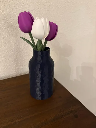 https://makerworld.bblmw.com/makerworld/model/748131/1018416/ratings/868242a0-fcb1-11f0-8f06-55109324f5ce.jpg