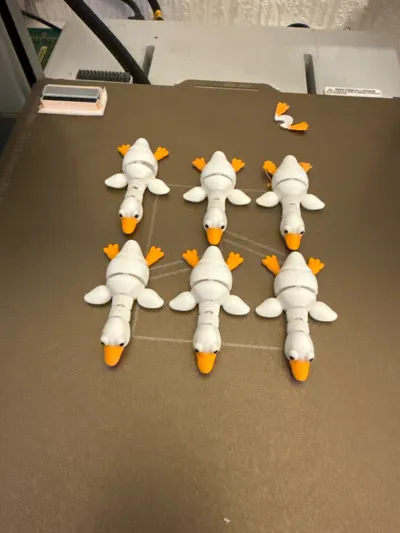 https://makerworld.bblmw.com/makerworld/model/749098/1389270/ratings/f1e10d30-a412-11f0-acf8-f17ff16168b2.jpg