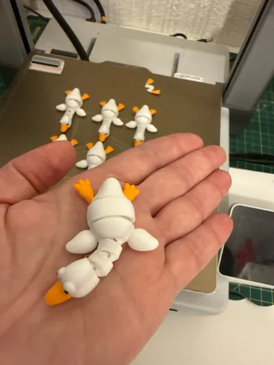 https://makerworld.bblmw.com/makerworld/model/749098/1389270/ratings/f1e971a0-a412-11f0-acf8-f17ff16168b2.jpg