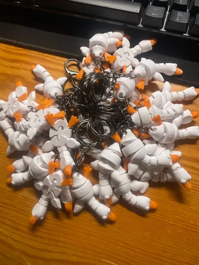 https://makerworld.bblmw.com/makerworld/model/749098/682552/ratings/26bda080-b071-11f0-8bcd-c73726745156.jpg