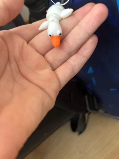 https://makerworld.bblmw.com/makerworld/model/749098/682552/ratings/67f6d6e0-233e-11f0-aa6f-4dc5317b69af.jpg