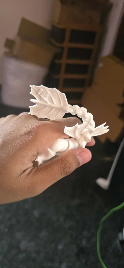 https://makerworld.bblmw.com/makerworld/model/74959/79416/ratings/08701f50-7b19-11f0-ade1-8bcdfdbd5a33.jpg