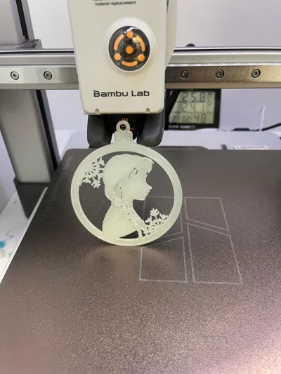 https://makerworld.bblmw.com/makerworld/model/751146/684841/ratings/23c73240-a54c-11f0-9261-a92945b6f4e7.jpg