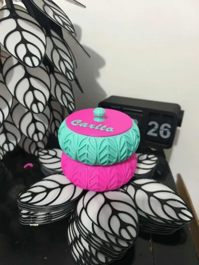 https://makerworld.bblmw.com/makerworld/model/751184/684875/ratings/e3ad8100-0d57-11f0-ae2f-0f42d187aa0e.jpg