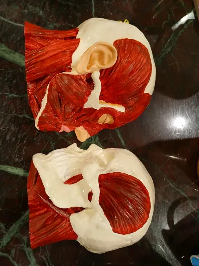 https://makerworld.bblmw.com/makerworld/model/751763/685590/ratings/6b70c6f0-36bc-11f0-ba10-771f4a75e2ab.jpg