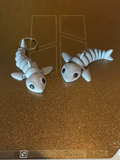 https://makerworld.bblmw.com/makerworld/model/751884/685724/ratings/40660170-18a6-11f0-a888-d75cef357b72.jpg