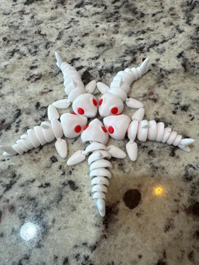 https://makerworld.bblmw.com/makerworld/model/751884/685724/ratings/572dd970-81bd-11f0-a484-674462cce87d.jpg