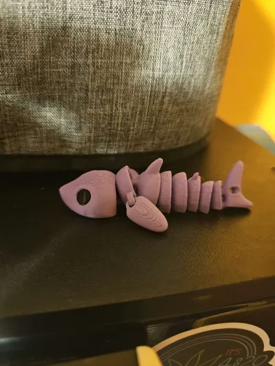 https://makerworld.bblmw.com/makerworld/model/751884/685724/ratings/80670eb0-760f-11f0-a591-35507f75bdee.jpg