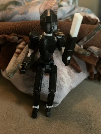 https://makerworld.bblmw.com/makerworld/model/752092/685961/ratings/e5797920-31cf-11f0-8480-fd61233f680f.jpg