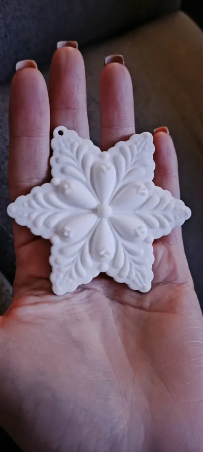 https://makerworld.bblmw.com/makerworld/model/752246/2151681/ratings/9da13b90-d03c-11f0-a6ee-8d1de9b4783d.jpg