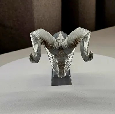 https://makerworld.bblmw.com/makerworld/model/754069/730348/ratings/e3925dc0-ea57-11f0-a8f5-b54f75b803bb.jpg