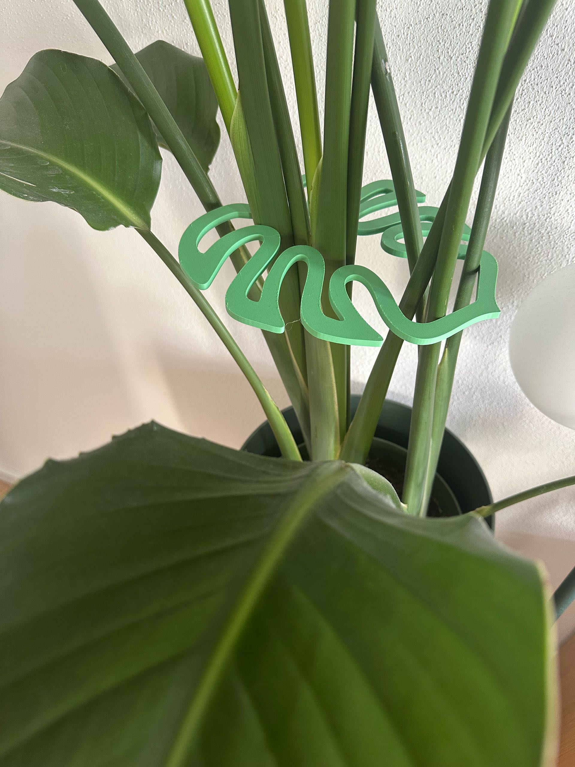 Tropische/Monstera Pflanzensttze, Halter, Rankhilfe fr Bltter   Kostenloses 3D-Druckmodell  MakerWorld