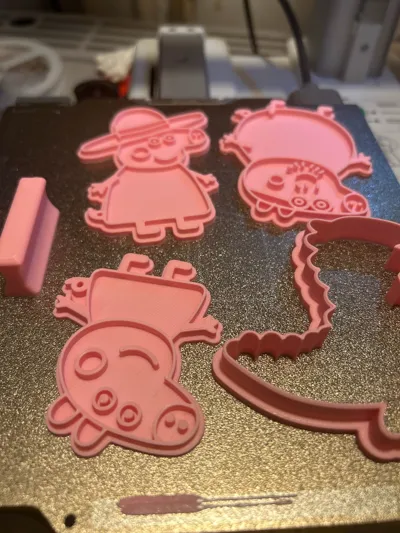 https://makerworld.bblmw.com/makerworld/model/758637/693089/ratings/900dd3a0-17da-11f0-b04a-abea6e6dc9c8.jpg