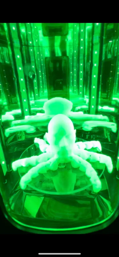https://makerworld.bblmw.com/makerworld/model/758982/693456/ratings/10493a20-13dd-11f0-b9ee-917a6015fffd.jpg