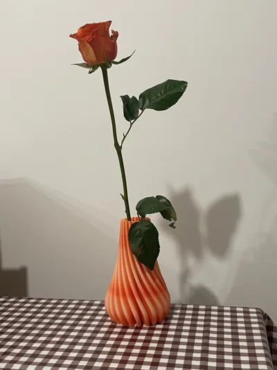 https://makerworld.bblmw.com/makerworld/model/759839/694418/ratings/07e68c10-fc69-11ef-89d2-1ff1a95f1741.jpg