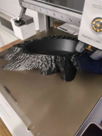 https://makerworld.bblmw.com/makerworld/model/761153/696745/ratings/598ec250-3b3c-11f0-aa66-19be2ad03544.jpg