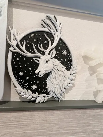https://makerworld.bblmw.com/makerworld/model/761550/696273/ratings/518eda20-e88b-11f0-964d-ffb40cc87120.jpg