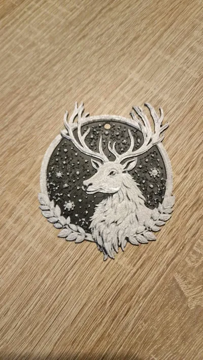 https://makerworld.bblmw.com/makerworld/model/761550/696273/ratings/85c07540-c245-11f0-a670-4db293168d0b.jpg