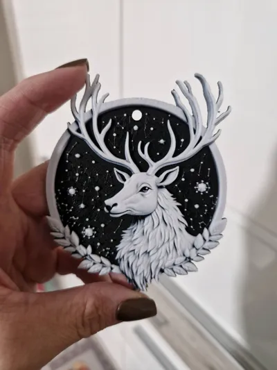 https://makerworld.bblmw.com/makerworld/model/761550/696273/ratings/943e30e0-c573-11f0-a02d-933caff2e622.jpg
