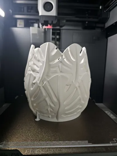https://makerworld.bblmw.com/makerworld/model/762544/697379/ratings/0bccbda0-4c4f-11f0-b182-cfcfd9ca0a59.jpg