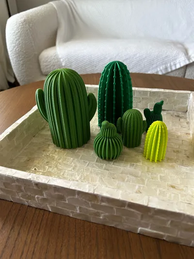 https://makerworld.bblmw.com/makerworld/model/763034/697931/ratings/90521be0-c56e-11f0-a84c-bba44fbd09f9.jpg