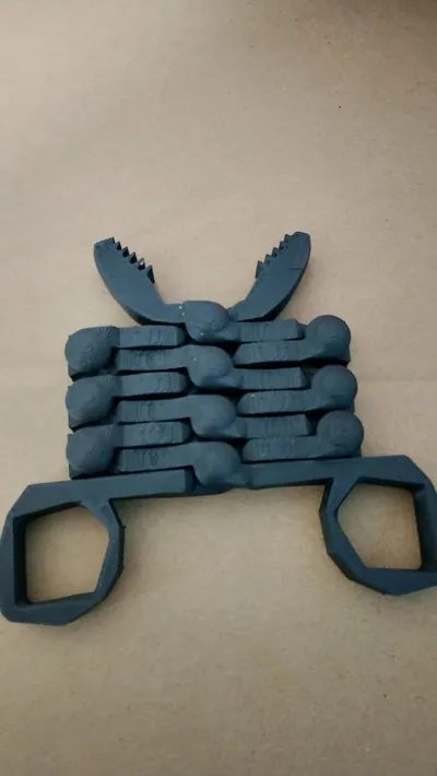 https://makerworld.bblmw.com/makerworld/model/764841/699965/ratings/fb4362e0-ddb2-11f0-9022-8389401a852c.jpg