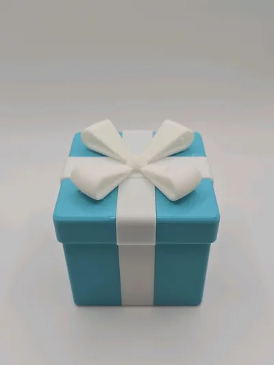 https://makerworld.bblmw.com/makerworld/model/765975/701267/ratings/df7873b0-e28b-11f0-b616-dbf35d5613b7.jpg