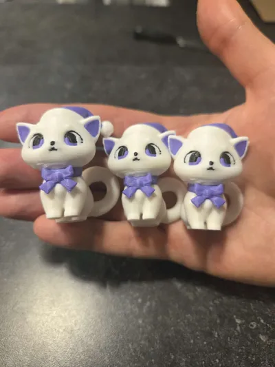 https://makerworld.bblmw.com/makerworld/model/766258/701581/ratings/00e3e650-587c-11f0-ab59-c5deb1f26c5a.jpg