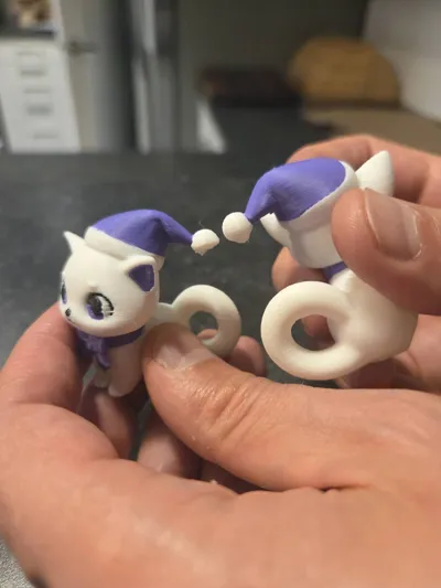 https://makerworld.bblmw.com/makerworld/model/766258/701581/ratings/00e8a140-587c-11f0-ab59-c5deb1f26c5a.jpg