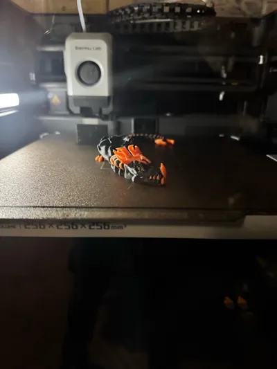 https://makerworld.bblmw.com/makerworld/model/767228/702578/ratings/3b63ef40-dd07-11f0-9428-ed5694a8f0ee.jpg