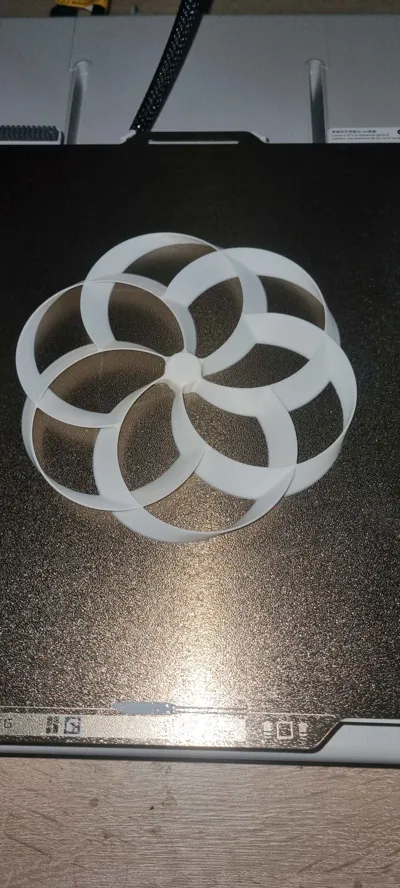 https://makerworld.bblmw.com/makerworld/model/76740/113441/ratings/302ddb20-8061-11f0-af05-5362ab515114.jpg
