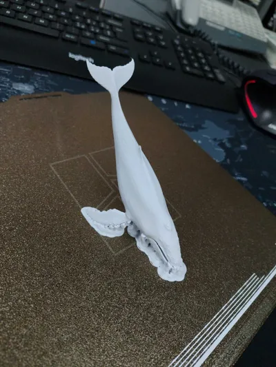 https://makerworld.bblmw.com/makerworld/model/768446/703911/ratings/e805fb20-2aa2-11f0-8d67-7928136cb523.jpg