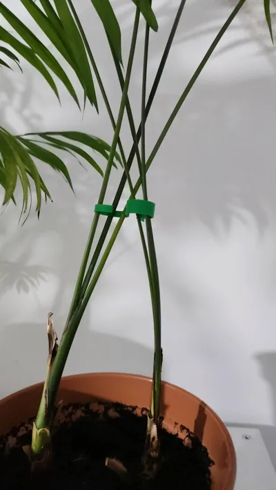 https://makerworld.bblmw.com/makerworld/model/768506/974693/ratings/e182f000-d240-11f0-8c3f-2d2a12abea8f.jpg