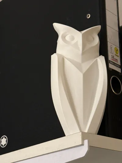 https://makerworld.bblmw.com/makerworld/model/768557/704080/ratings/99a8fd30-c0c3-11f0-a219-07ae4cb0ffde.jpg