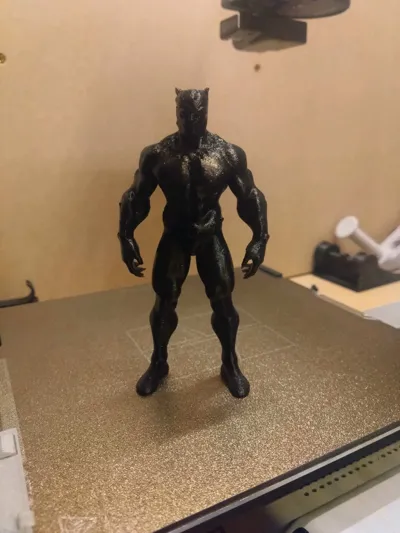https://makerworld.bblmw.com/makerworld/model/771391/707308/ratings/11f221a0-29f6-11f0-9950-5f9cd2456a43.jpg