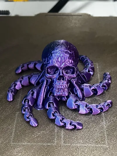 https://makerworld.bblmw.com/makerworld/model/772607/708675/ratings/62a96270-7230-11f0-9c55-f16470460e91.jpg