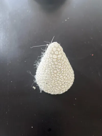 https://makerworld.bblmw.com/makerworld/model/774636/711005/ratings/487baaf0-d821-11f0-b1ee-433c9426a91d.jpg