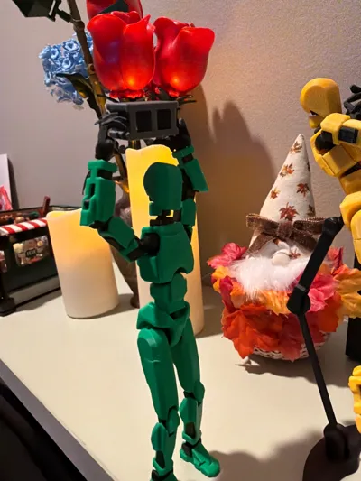 https://makerworld.bblmw.com/makerworld/model/775202/758055/ratings/3a6826e0-ccb0-11f0-8546-7bf567d1bf64.jpg