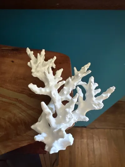 https://makerworld.bblmw.com/makerworld/model/778643/715523/ratings/37144c50-6fbb-11f0-9544-97a33dae1cfb.jpg