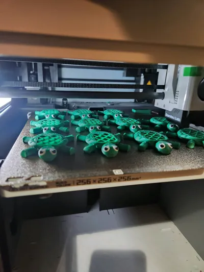 https://makerworld.bblmw.com/makerworld/model/779276/732987/ratings/aeb7ae20-1104-11f0-abf9-65b5fa0006dd.jpg