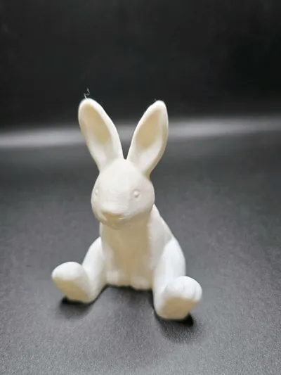 https://makerworld.bblmw.com/makerworld/model/779802/716784/ratings/922bd220-0a67-11f0-b888-3919f2d7d782.jpg