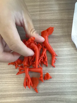 https://makerworld.bblmw.com/makerworld/model/780670/717712/ratings/a6d733a0-fae9-11ef-9061-0171450264e7.jpg