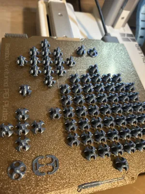 https://makerworld.bblmw.com/makerworld/model/780999/718570/ratings/1fe7d420-f8c4-11ef-be0e-b3db713f3268.jpg