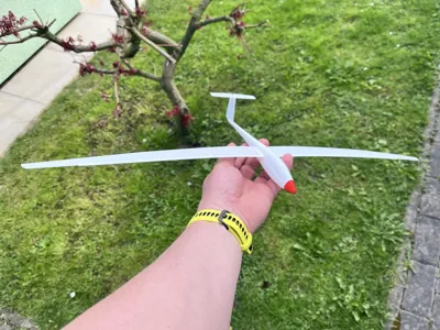 Flyable Micro Airplane ASW20 Sailplane (micro glider - flyable) - Free 3D Print Model - MakerWorld