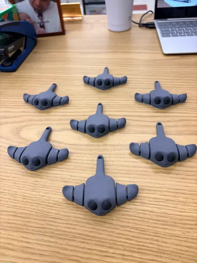 https://makerworld.bblmw.com/makerworld/model/783189/720590/ratings/145dfa50-be5b-11f0-b3cf-07e91cf41427.jpg