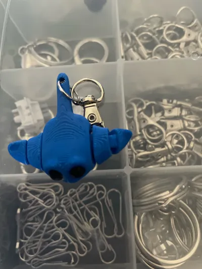 https://makerworld.bblmw.com/makerworld/model/783189/720595/ratings/8b495f40-125f-11f0-b6d2-952da2a7d8bf.jpg
