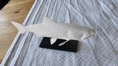 https://makerworld.bblmw.com/makerworld/model/788562/726638/ratings/aa1ab4b0-d9aa-11f0-a0df-f396b654c774.jpg