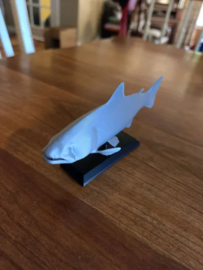https://makerworld.bblmw.com/makerworld/model/788562/726638/ratings/d99ff910-73da-11f0-b891-d7727f7bce34.jpg