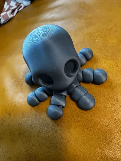 https://makerworld.bblmw.com/makerworld/model/788637/726727/ratings/9e163e00-6650-11f0-847d-51f9bea16766.jpg